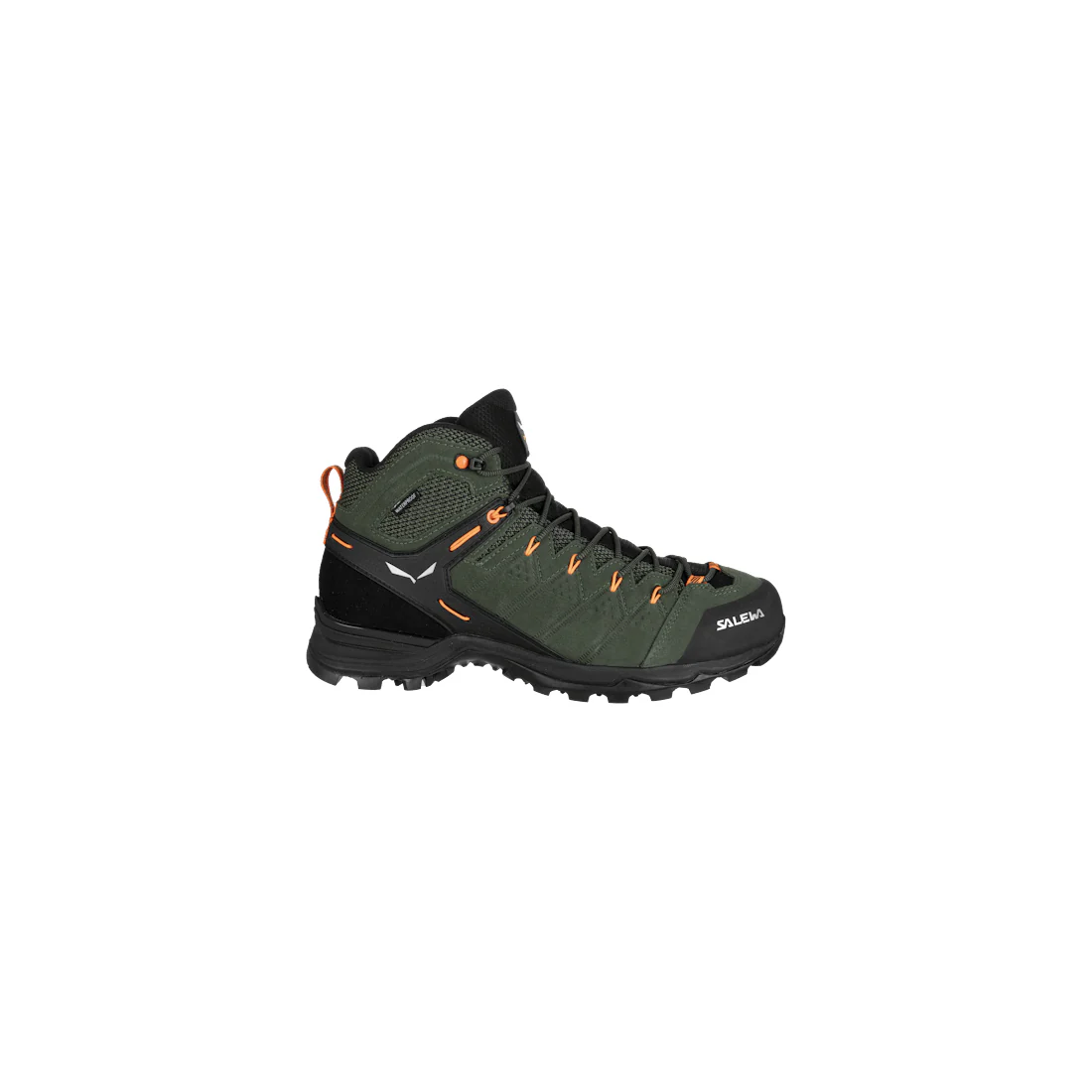 Thumbnail 11